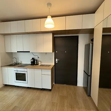 Miraculous Luxury Apartament Bucureşti